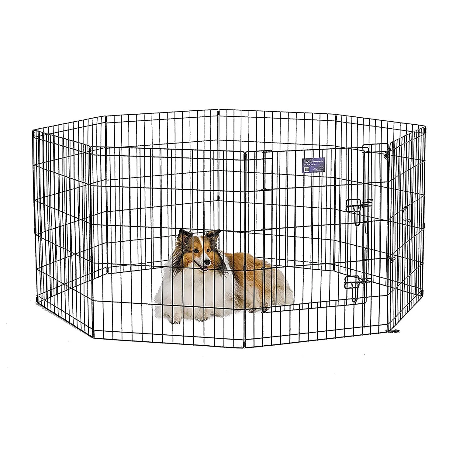 Exercise Pen with Door