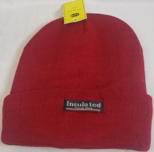 Greg III -- Acrylic Insulated Knit Hat