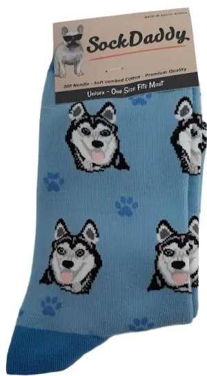 Socks  Siberian Husky Dog        800-40  H