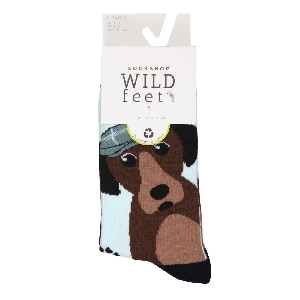 Wildfeet Animal Socks Pack of 3